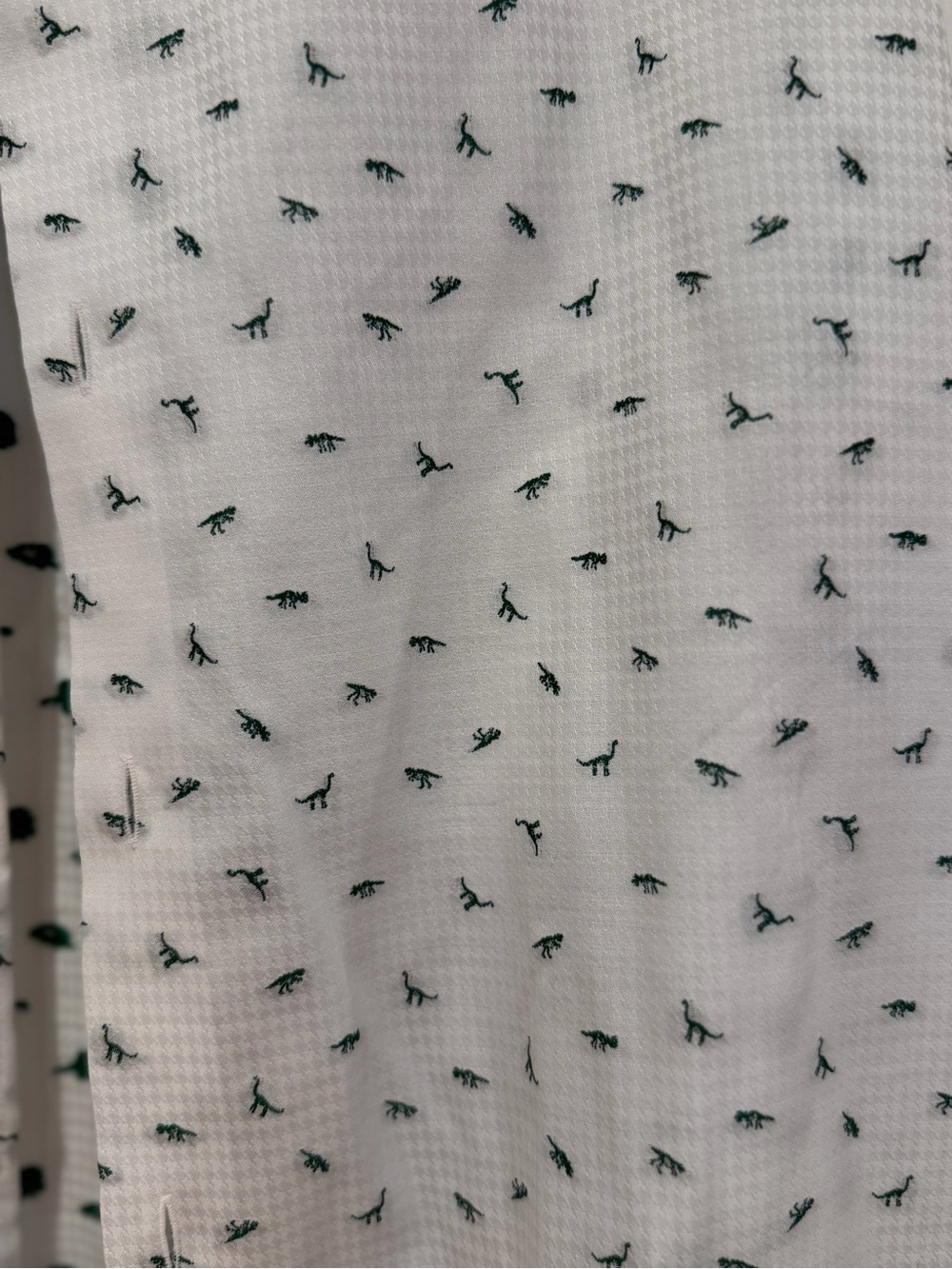 Murano White Long-Sleeve Dress Shirt with Green Micro dinosaur print - Picture 3 of 5